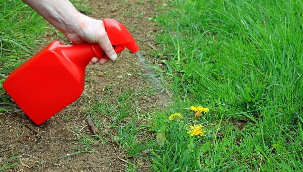 roundup-weedkiller-lawsuit-verdicts